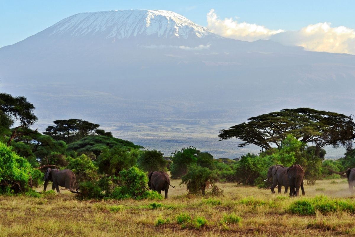 Big Five Safari Amboseli