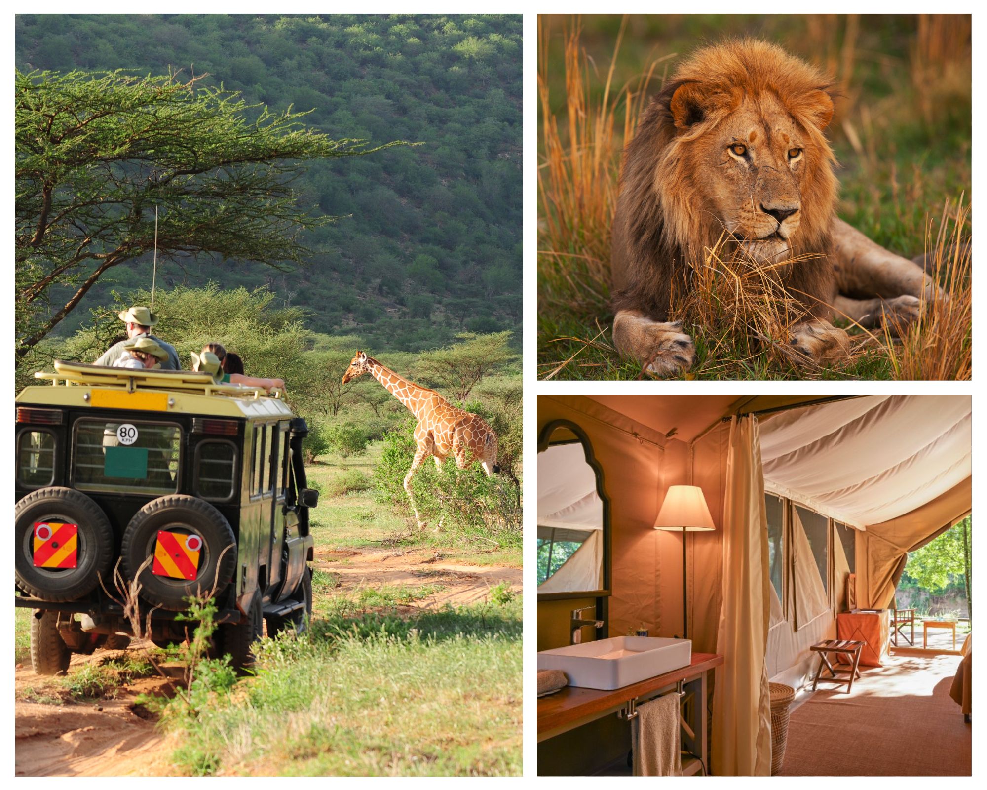 Honeymoon Safaris