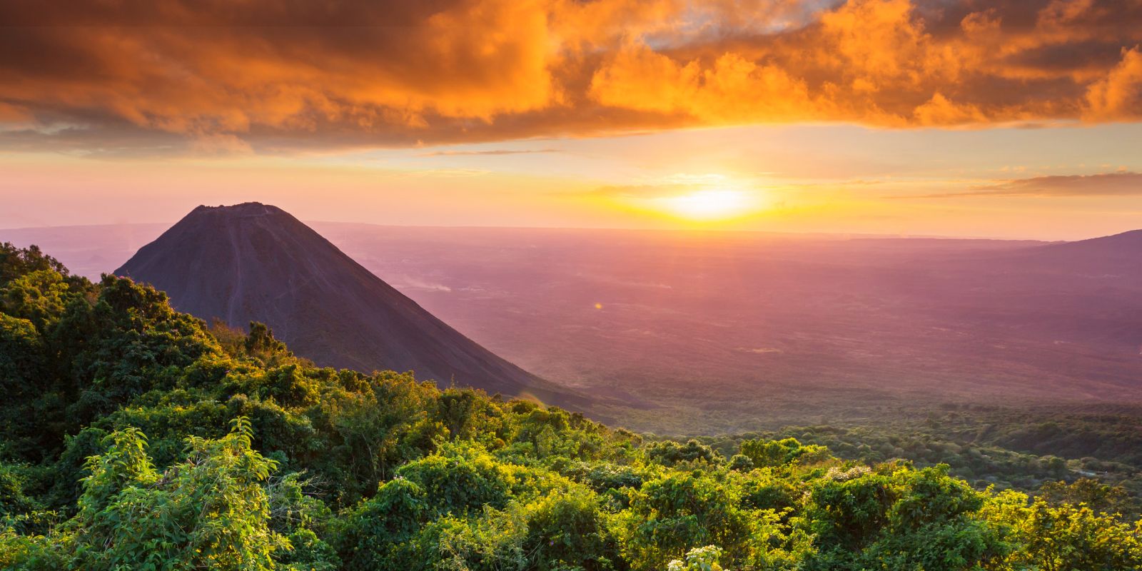 4 Days Gorilla Trekking