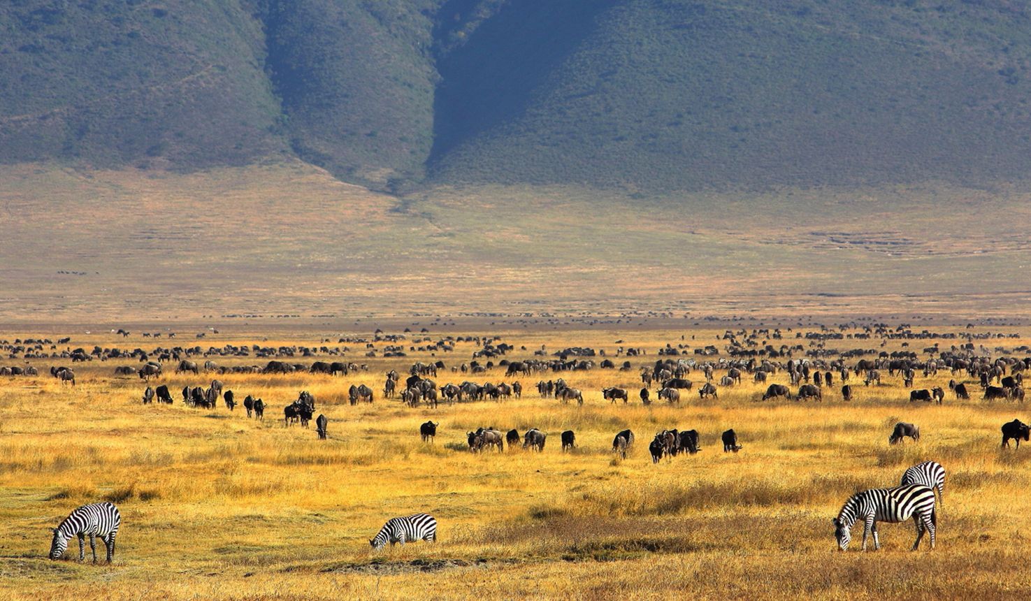Tanzania Highlight Safari