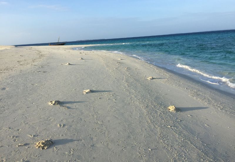 Sandbank Tours Zanzibar